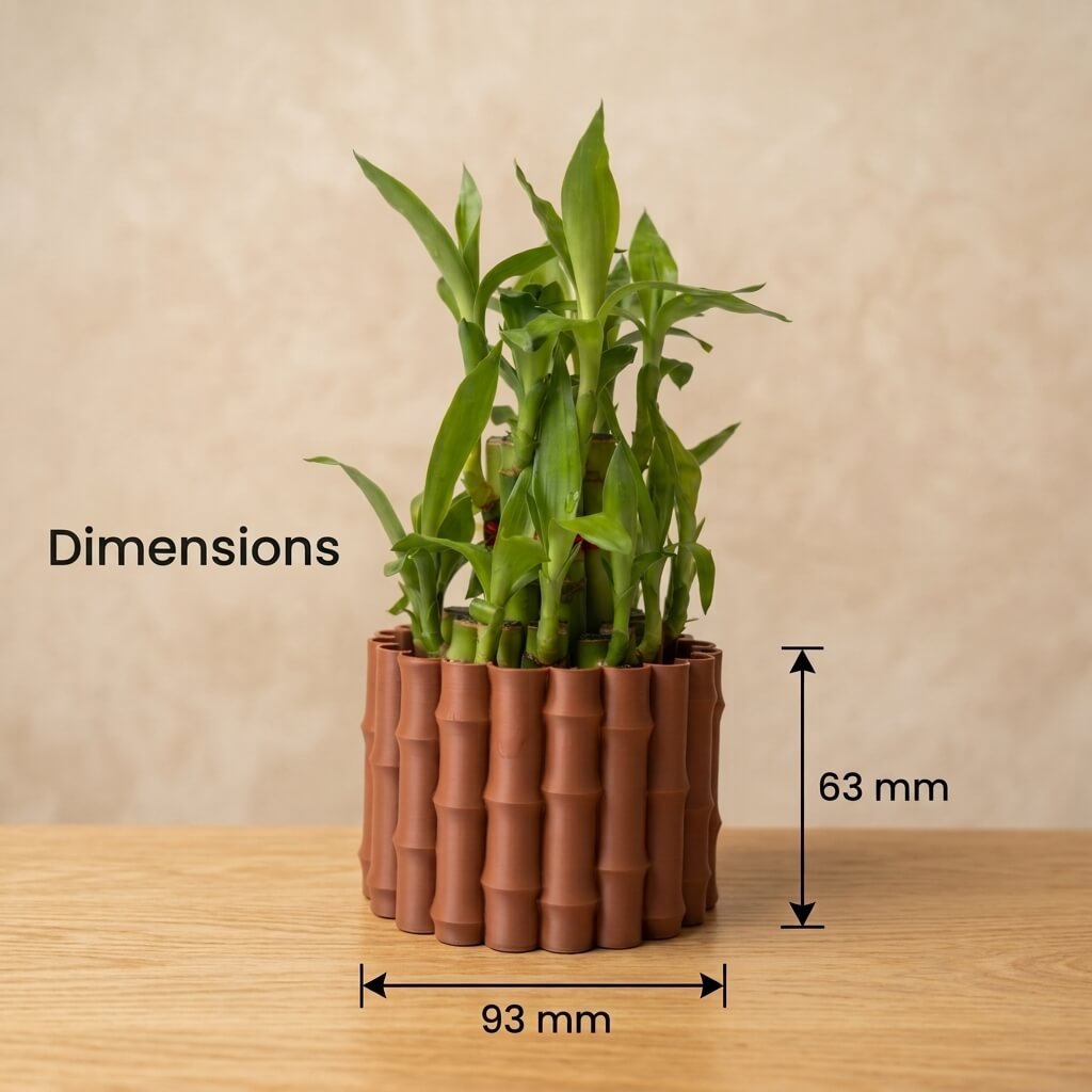 3D karo Lucky bamboo Cluster dimensions