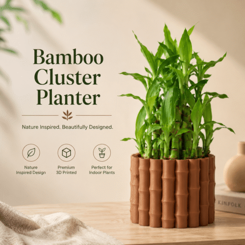 3D karo Lucky bamboo Cluster featured