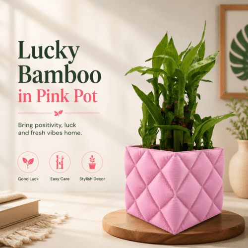 3D karo Pink Diamond Quilt Planter