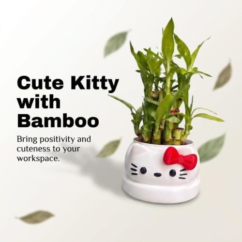 3d karo Cute Kitty Pot with Bamboo