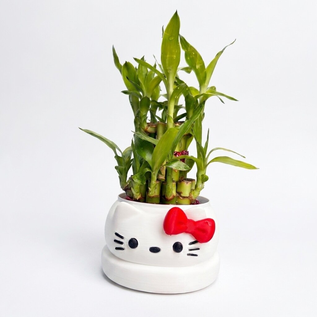 3d karo Cute Kitty Pot with Bamboo front view
