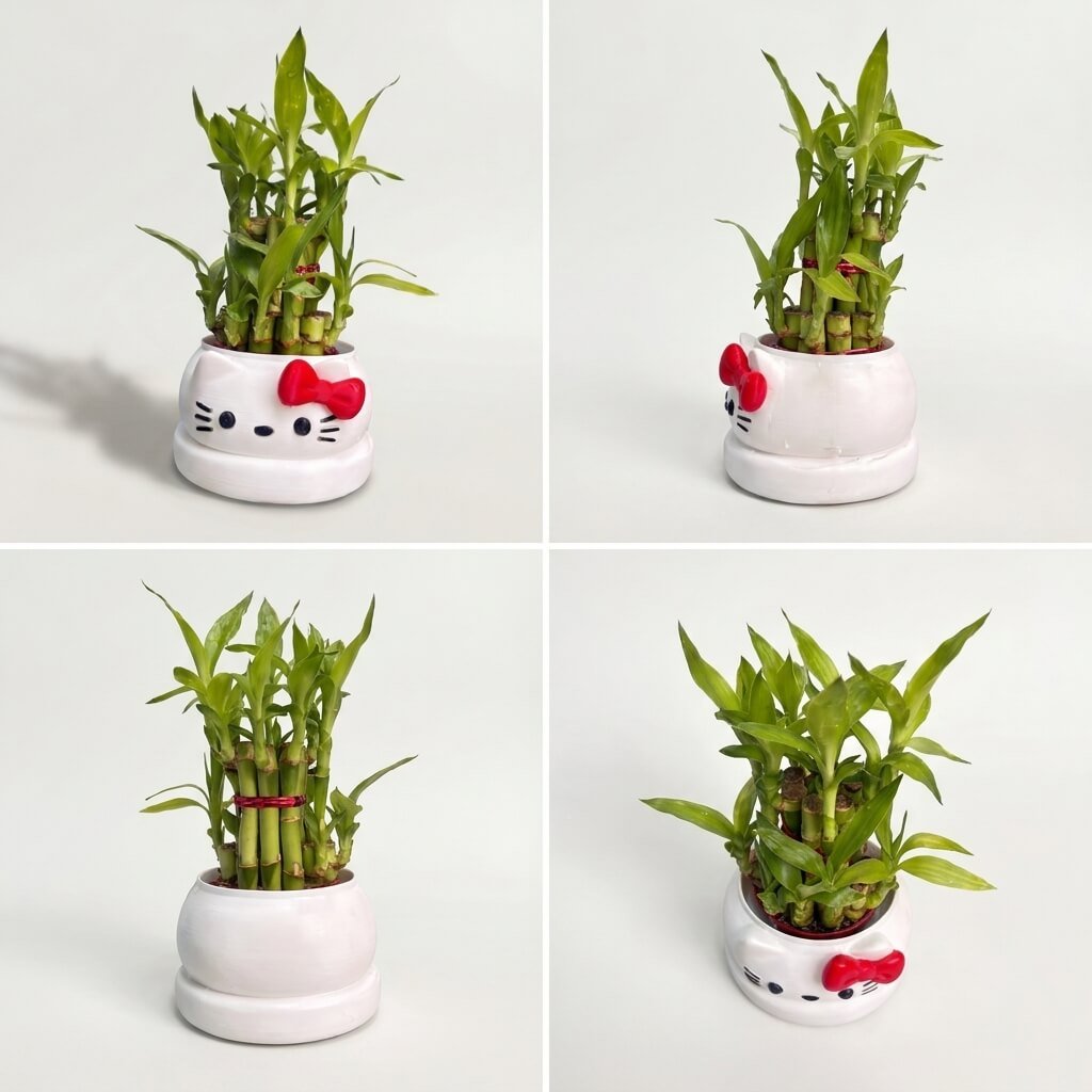 3d karo Cute Kitty Pot with Bamboo multi view