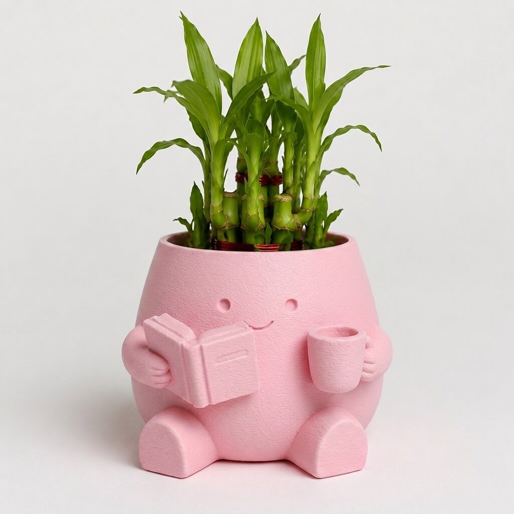 Cute Reader Pot with Lucky Bamboo Pink