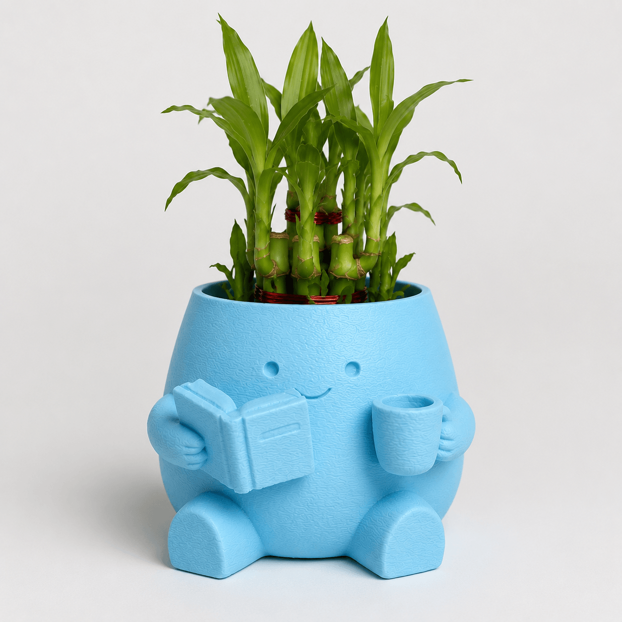Cute Reader Pot with Lucky Bamboo front with bamboo