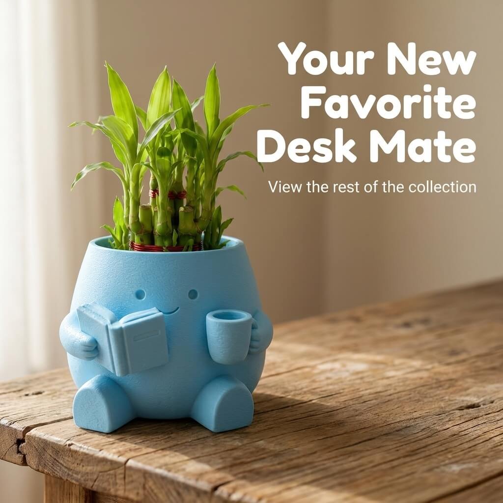 Cute Reader Pot with Lucky Bamboo front