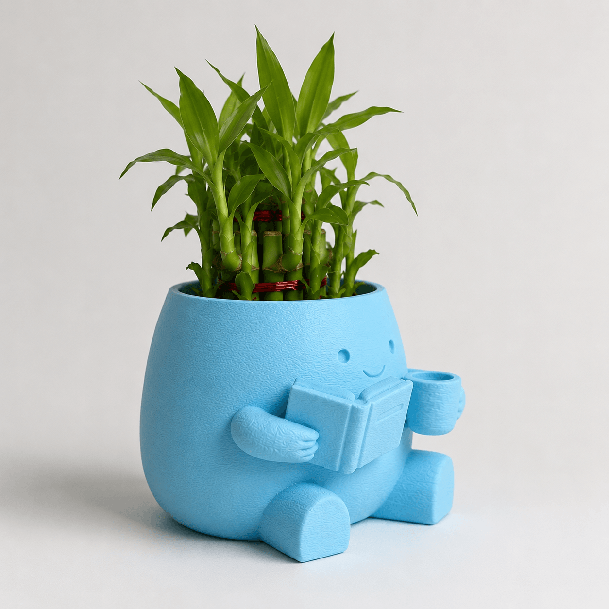 Cute Reader Pot with Lucky Bamboo left view