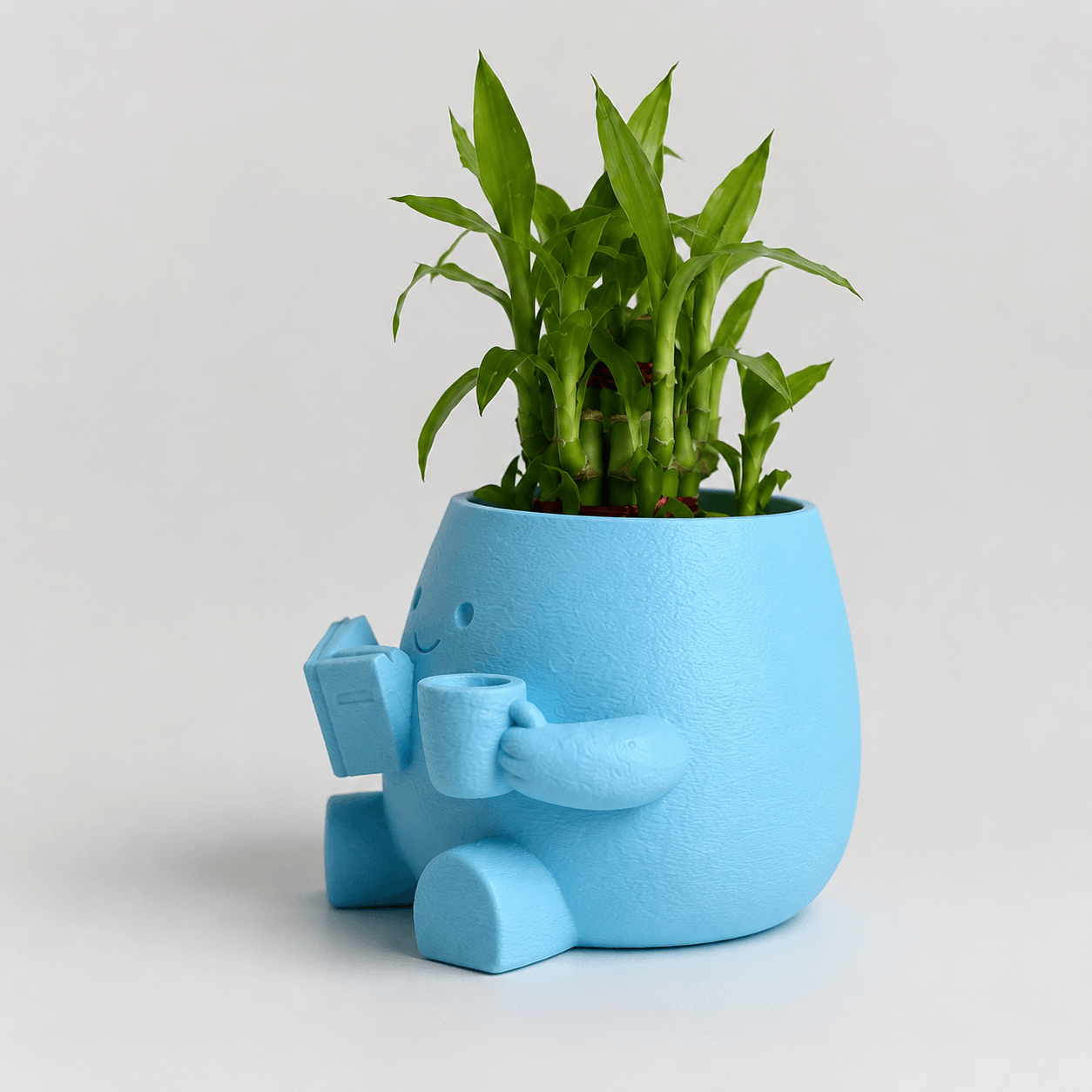 Cute Reader Pot with Lucky Bamboo right view